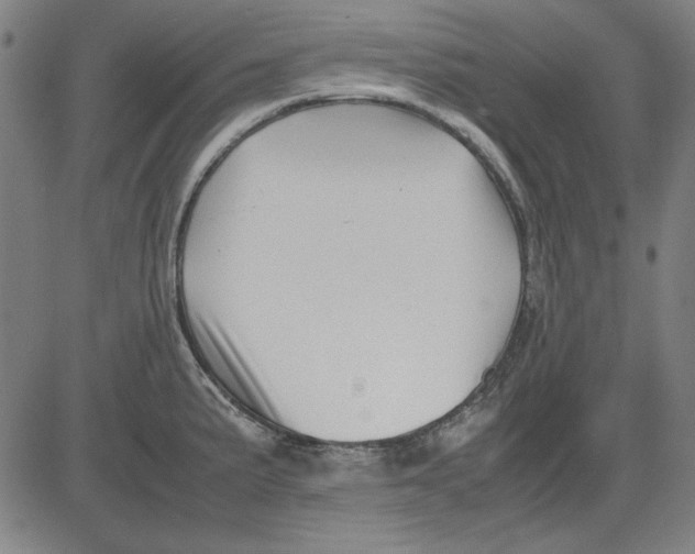 X0000081431191200702021645