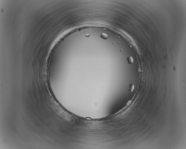 X0000081431192200702021645