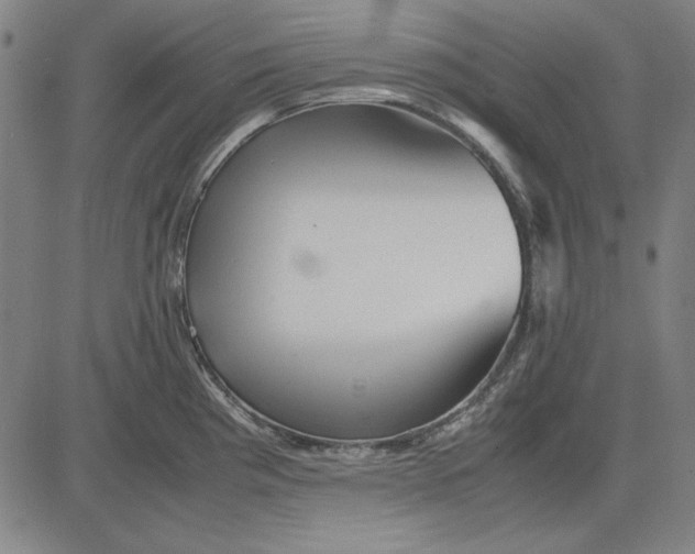 X0000081431193200702021645