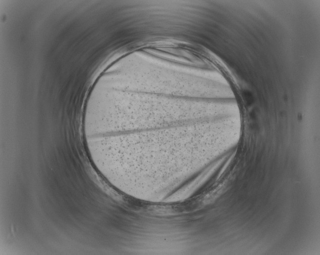 X0000081431194200702021645