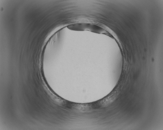 X0000081431195200702021644