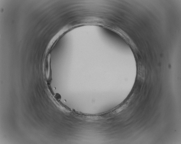 X0000081431196200702021644