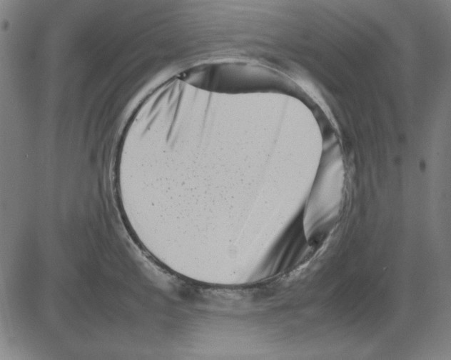 X0000081431197200702021644