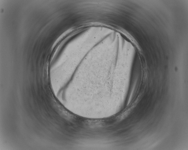 X0000081431198200702021644