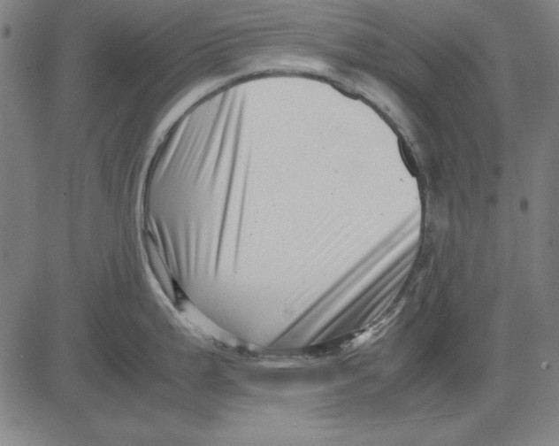 X0000081431199200702021644