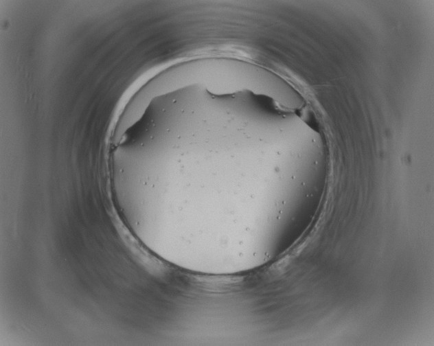 X0000081431200200702021644