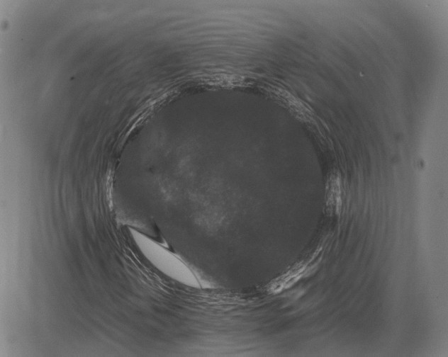 X0000081431202200702021644