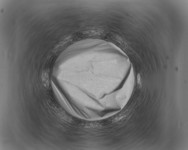 X0000081431203200702021644