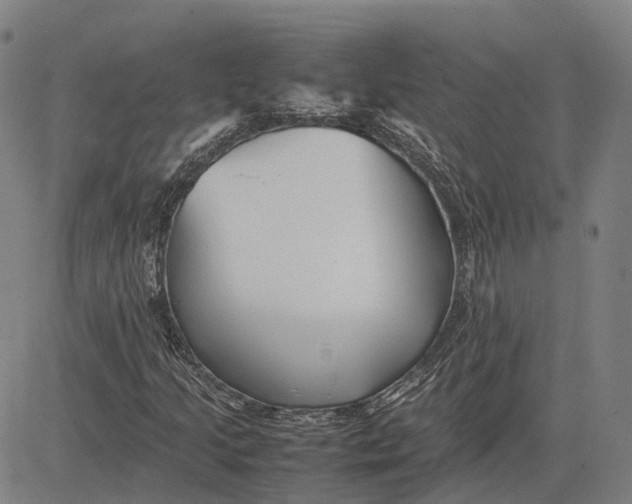 X0000081431205200702021644