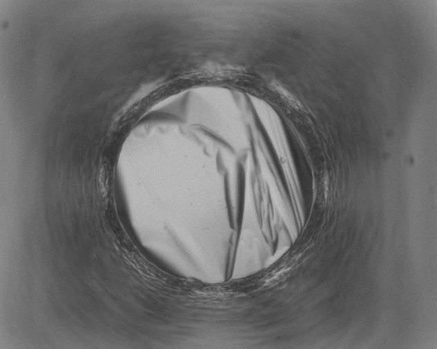 X0000081431206200702021644