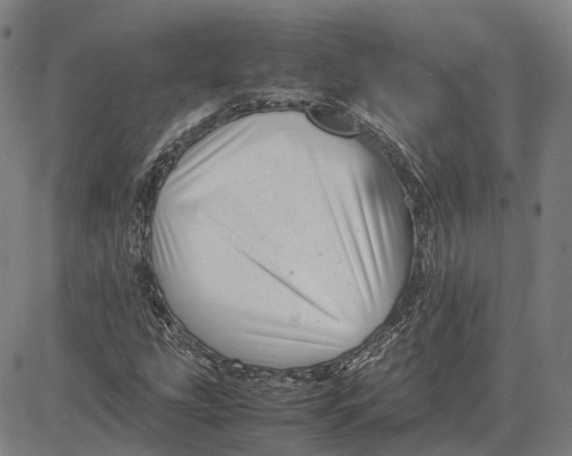 X0000081431207200702021644