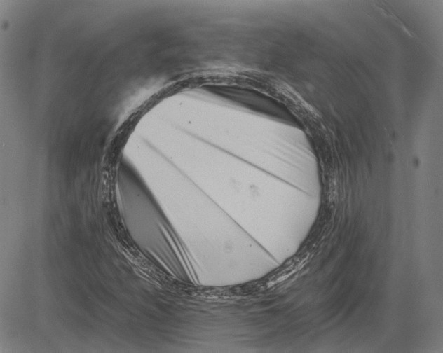 X0000081431208200702021644