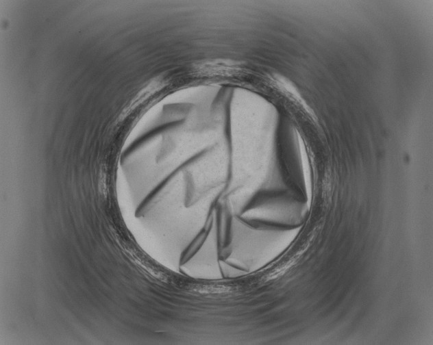 X0000081431209200702021644