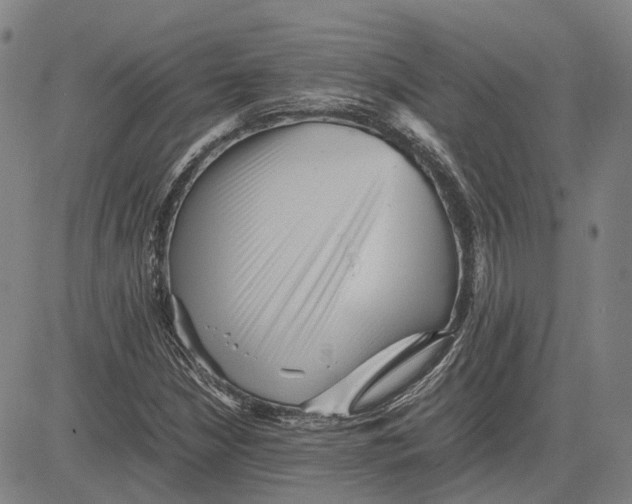 X0000081431210200702021644