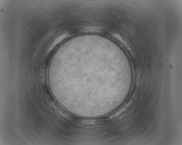 X0000081431211200702021644