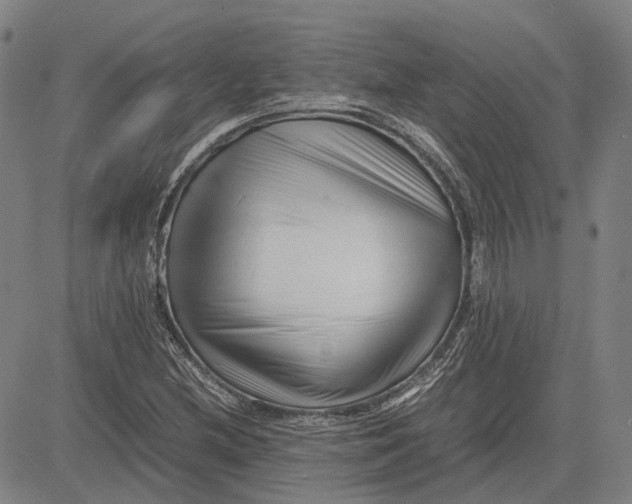 X0000081431212200702021644