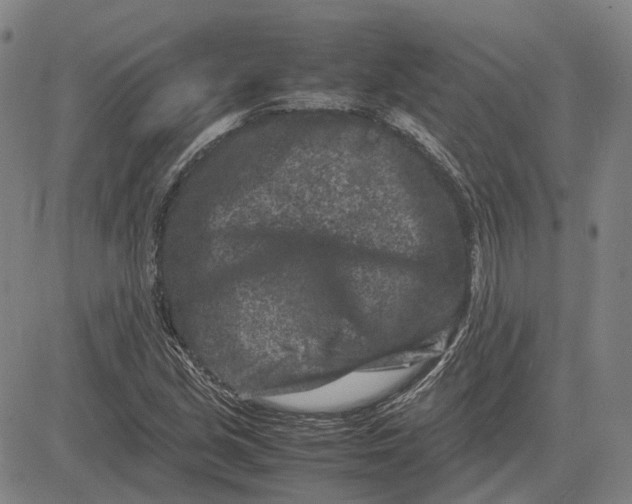 X0000081431213200702021644