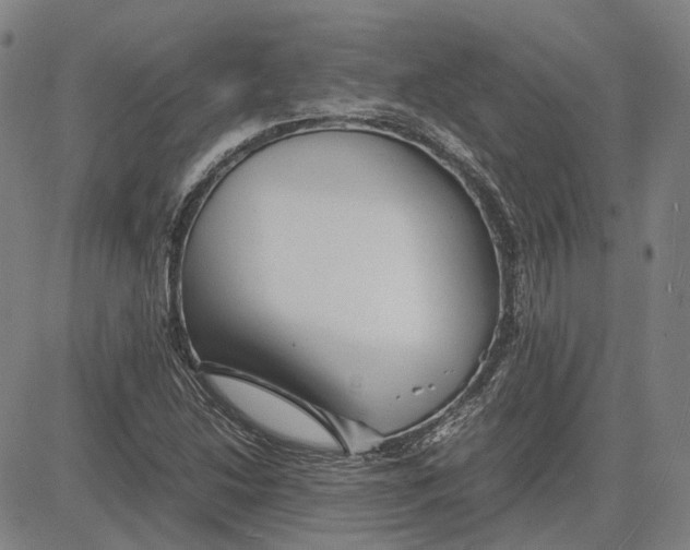 X0000081431214200702021644