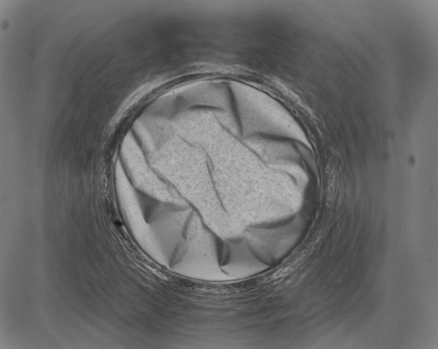 X0000081431215200702021644