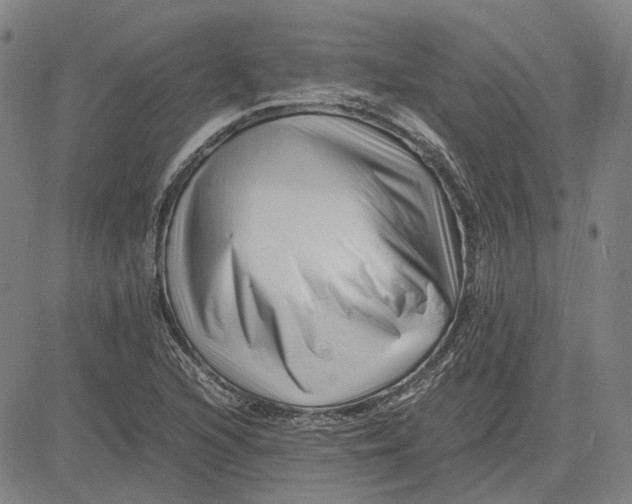 X0000081431216200702021644