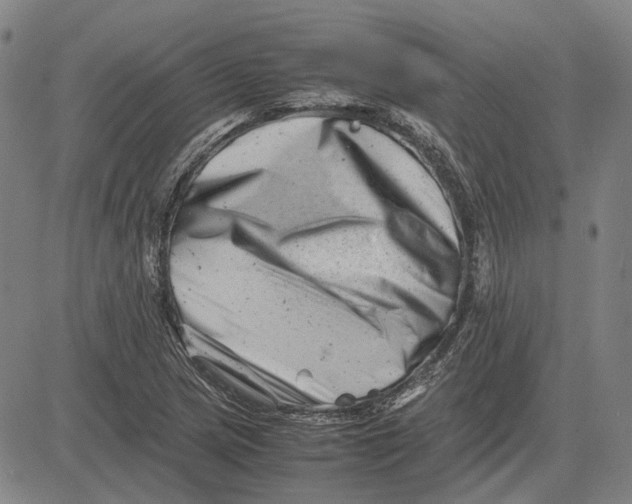 X0000081431217200702021644