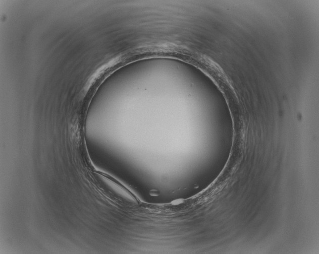 X0000081431218200702021644