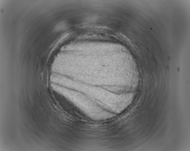 X0000081431219200702021644