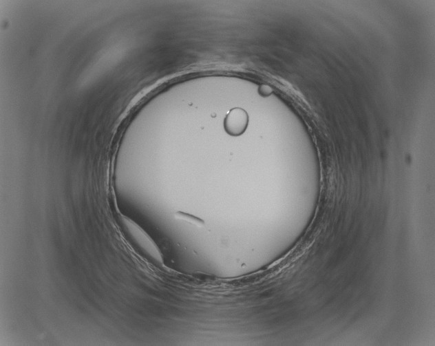 X0000081431220200702021644