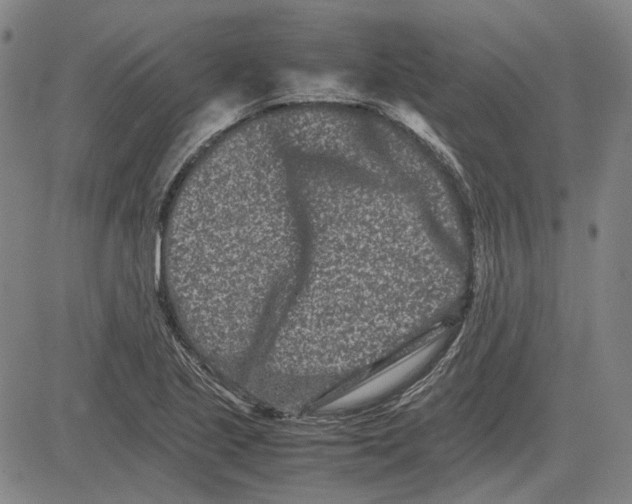 X0000081431221200702021644