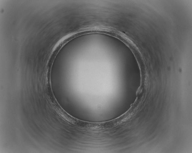 X0000081431222200702021644