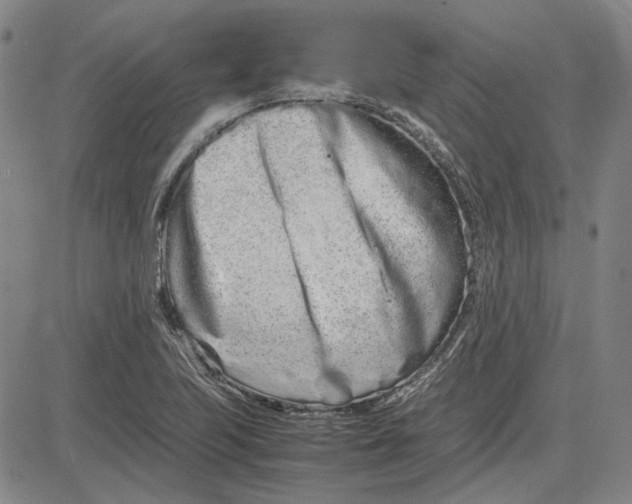 X0000081431223200702021644