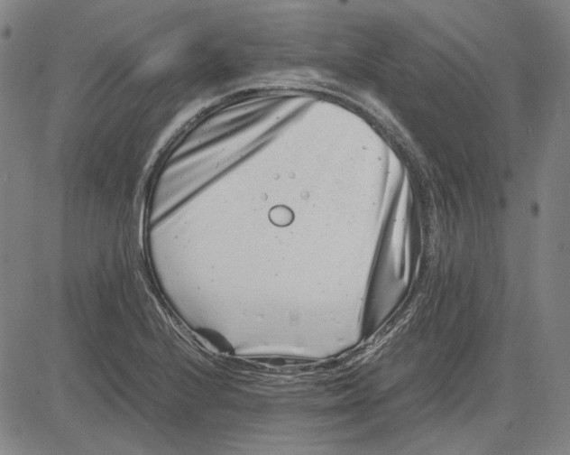 X0000081431224200702021644