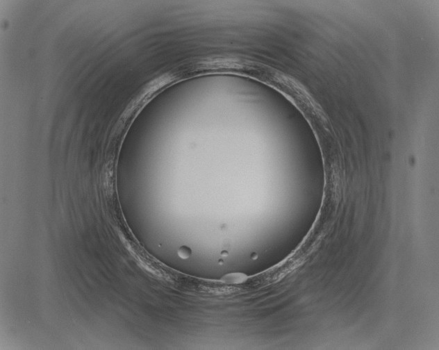 X0000081431225200702021644