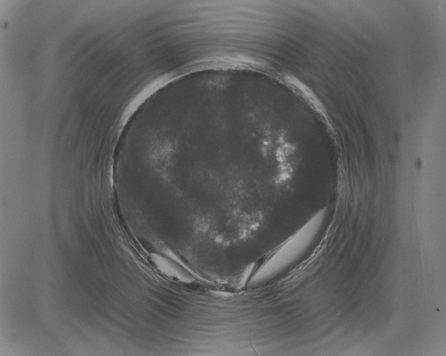 X0000081431226200702021644