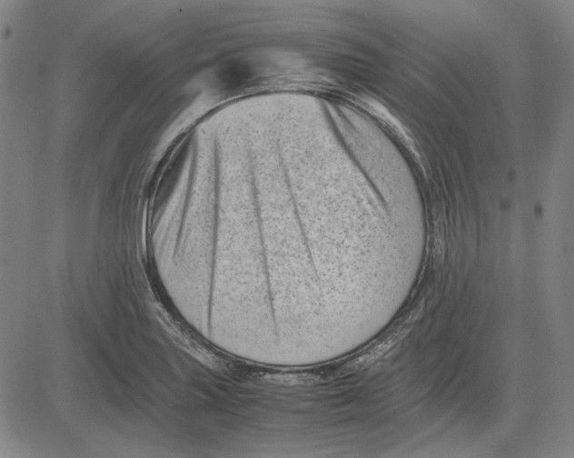 X0000081431227200702021644