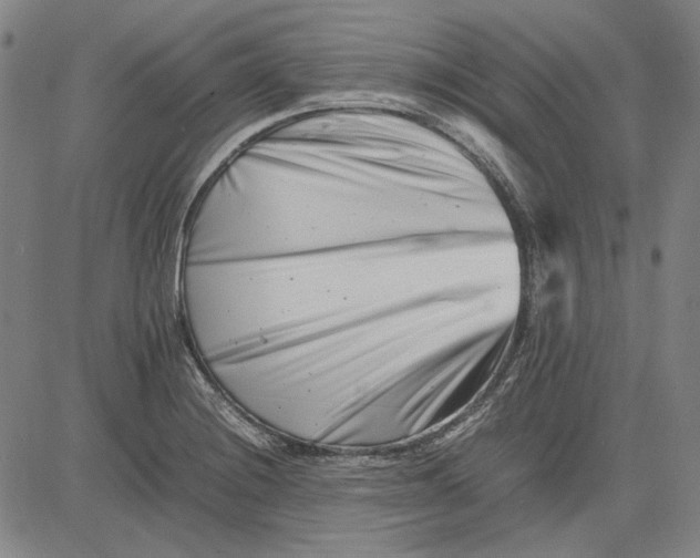 X0000081431228200702021644