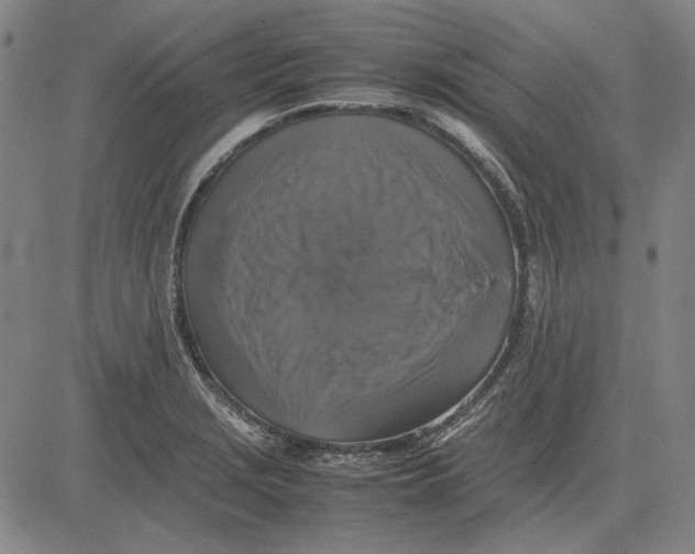 X0000081431229200702021644