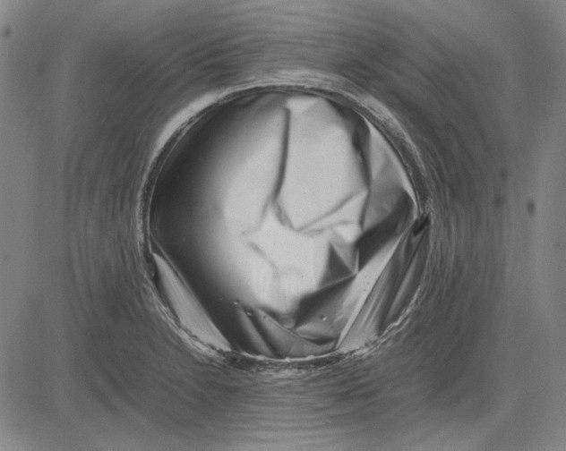 X0000081431230200702021644