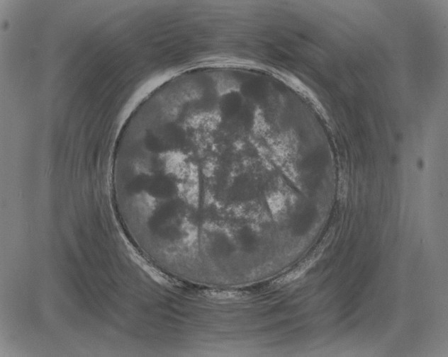 X0000081431231200702021644