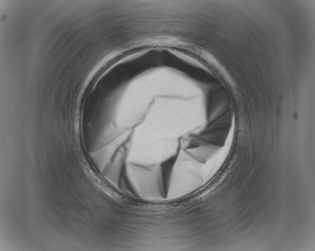 X0000081431232200702021644