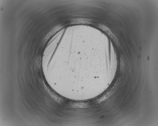 X0000081431233200702021644