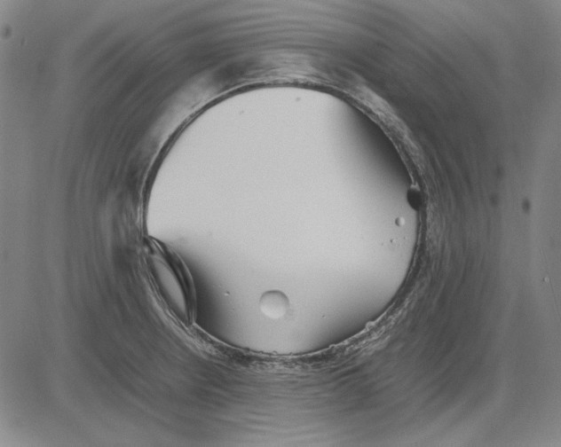 X0000081431234200702021644