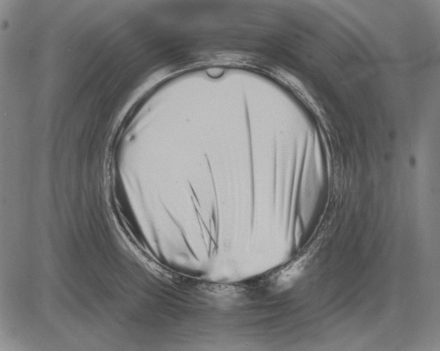 X0000081431235200702021644