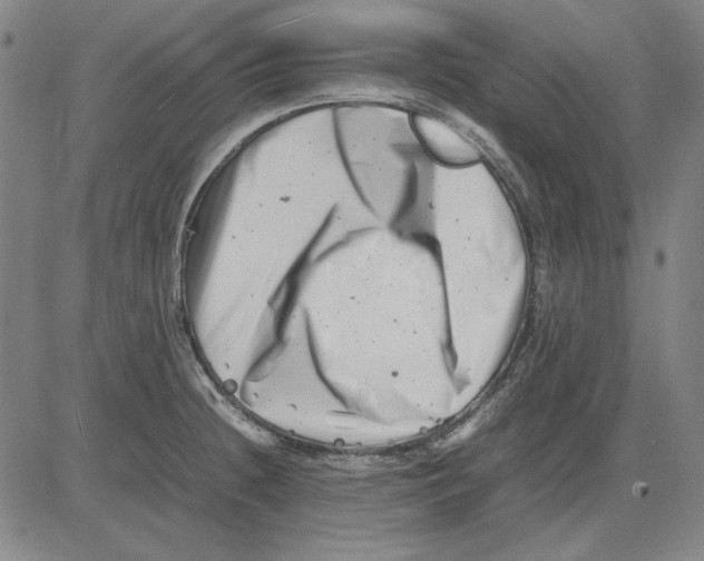 X0000081431236200702021644