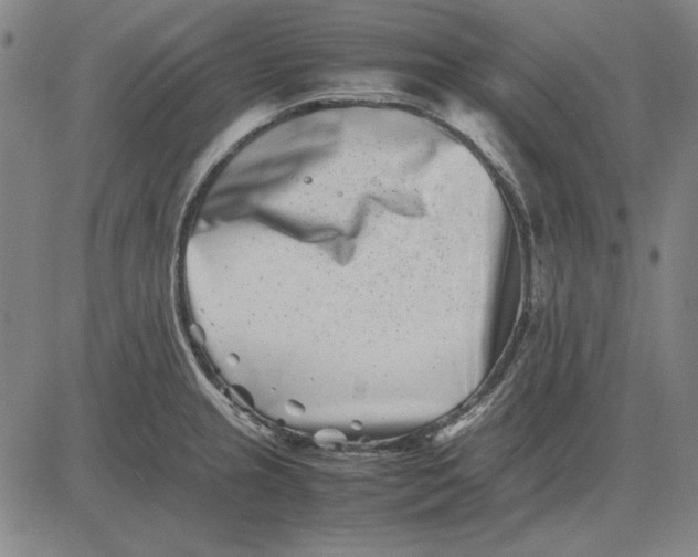 X0000081431237200702021644