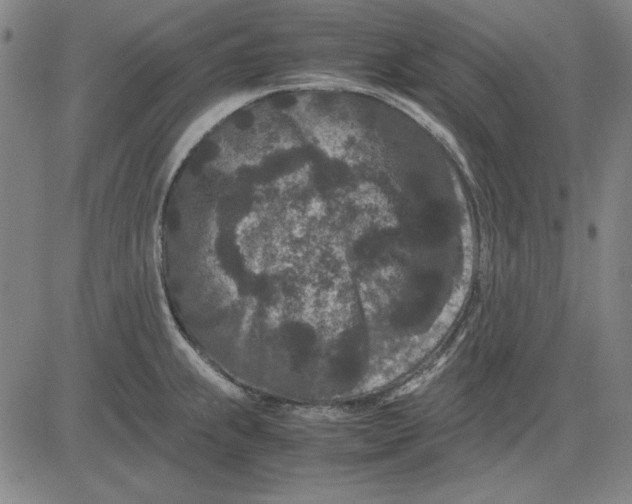 X0000081431239200702021644