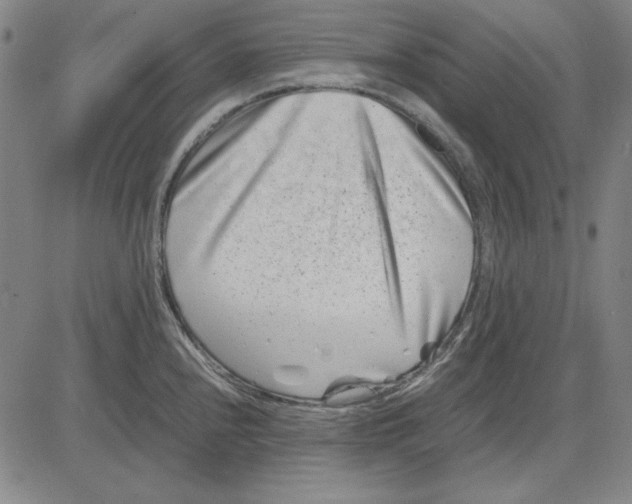 X0000081431240200702021644