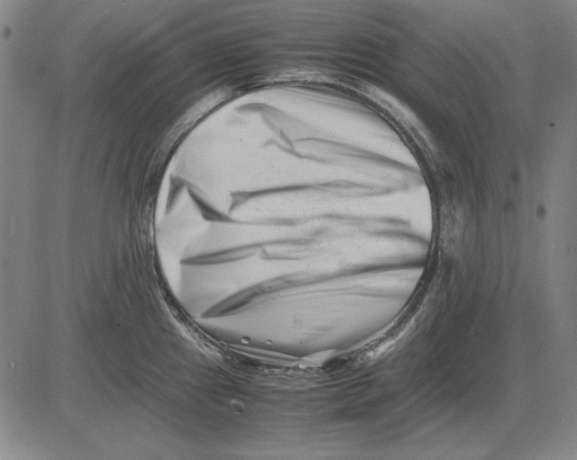 X0000081431241200702021644