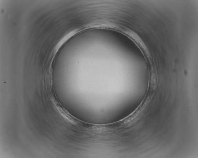 X0000081431242200702021644