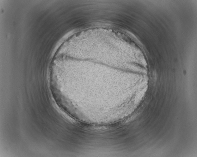 X0000081431243200702021644